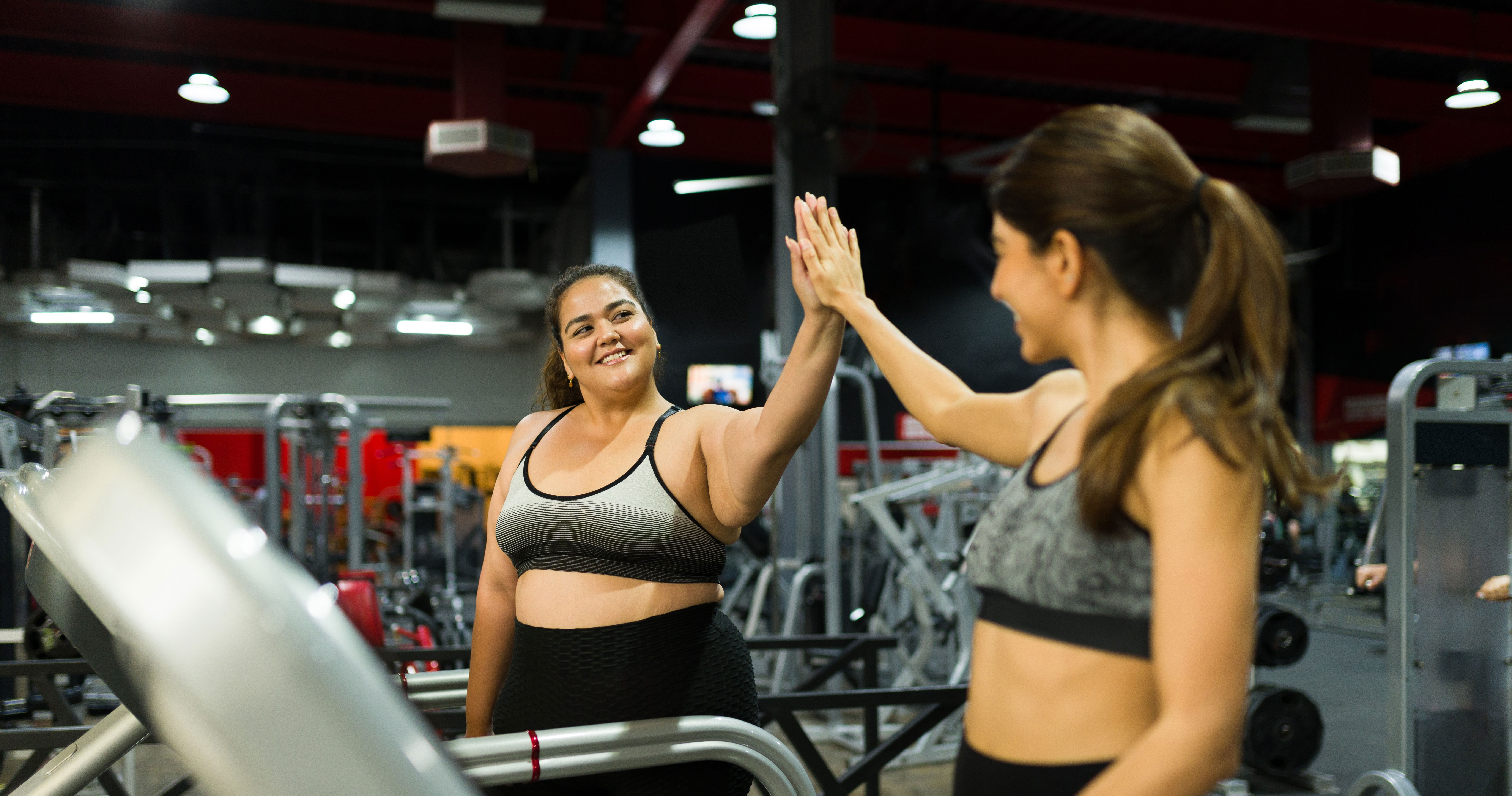 Hale Gymnasium Schedule