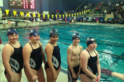 Swim Teams